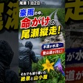 【尾瀬】豪雨の尾瀬を命がけで歩く…木道水没・登山道が川に！それでも辿り着いた絶景と山小屋【2026夏】