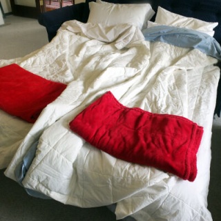 カリフォルニアのばあさんブログ