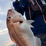 新潟県　寝屋漁港　功晴丸　第八功晴丸　潜りの眼