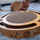 一回忌と新しいおもちゃ･･･