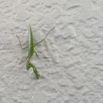 ちょっと幸せ、ずーっと幸せ