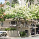 ハワイのフードコートでチップはいるの〜⁉︎