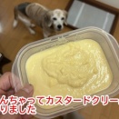 節約ストレスと明日の序章