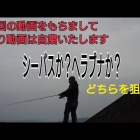 غǸΰǡ٤β