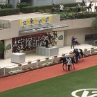 『宝塚記念　予想見解』の画像