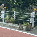奥多摩温泉ドライブ　断酒3243日目