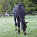 『理解』の画像