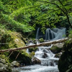 信州写真館　