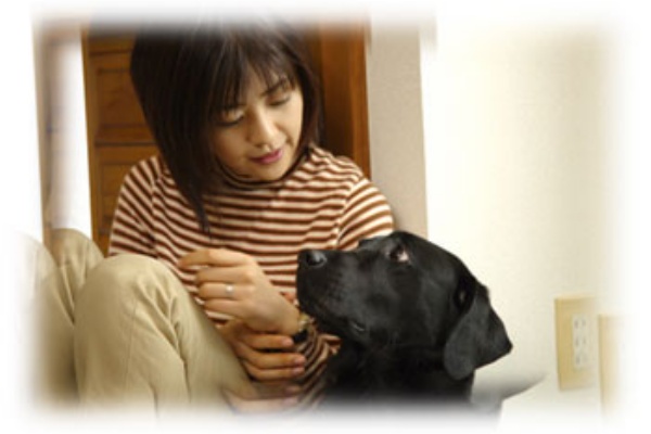 シネマアルチ映画上映情報