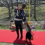 『打上川治水緑地で「猿回し」が行われてるのを発見！有名な日光さる軍団のお猿さんが芸を披露してた』の画像