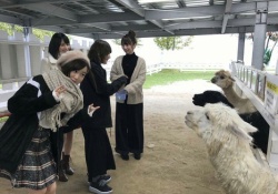 【衝撃】星野みなみちゃん、武藤敬司さんのモノマネをしてしまうｗｗｗｗｗ