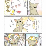おねえちゃん大好きねこちゃんのバブーシュカ