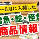 [動画]2026年4～5月に入荷した雷魚・ナマズ・怪魚系 商品情報！をアップしました！