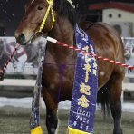 クロミちゃんの競馬日記