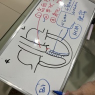 ぱずたん、心臓の専門医で心臓エコーを受ける。