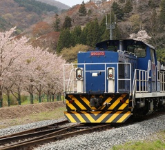 カメラ触ってない！！！