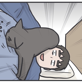 夫の今日の猫自慢