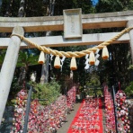 フライフィッシャーマンの水泳教室