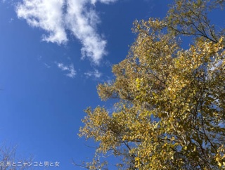 邪魔