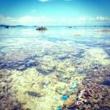 『石垣島Chill Time1日目 vol.1949』の画像