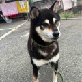 ギンちゃん♪