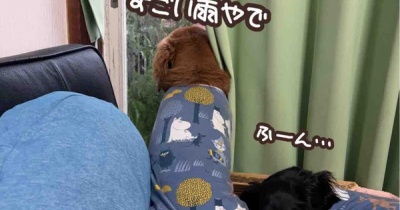台風まだ来ない。