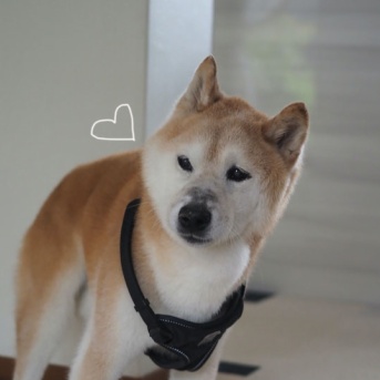 バランスが…