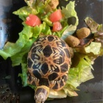 大型熱帯魚屋  ZEEBRA