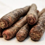 飲食経験40年のblog