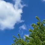 神崎みどり  OFFICIAL  BLOG