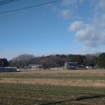 NPO犬猫みなしご救援隊・代表ブログ・みなしご庵へようこそ