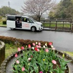 らいふ たまプラーザ