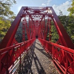 あいまいだいありー