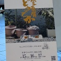 写真展はじめました（夏