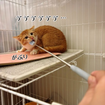 ジーロー氏スパルタ特訓