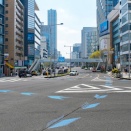 青山墓地でサクラ