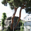 八幡神社（田村市船引町船引八幡）