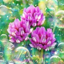 春光の庭に慈しむ心 Light of Innocence