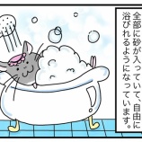 『わさびのお風呂は3つあります！』の画像