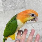 モンク ファーム