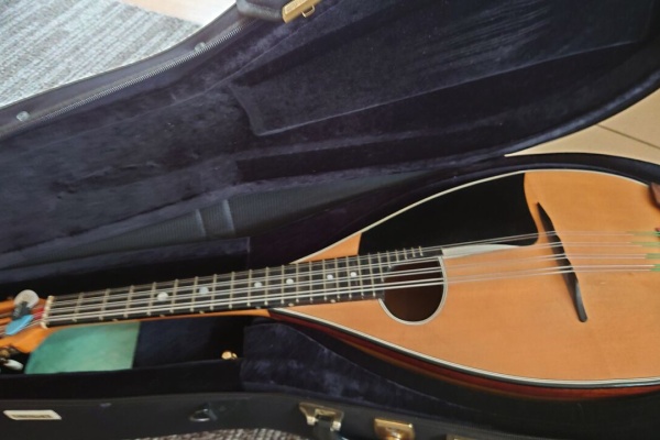 ドイツマンドラ BELCANTO EMIL HOFMANN JR をお嫁にだした : Chord of