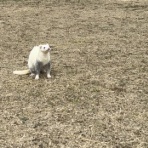 もにっき（旧うにっき）