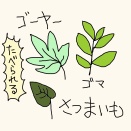 実と葉と根
