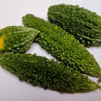OKOTのんびり高原暮らし日記