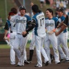 【サヨナラ勝ち】ハムファン集合！！！！！