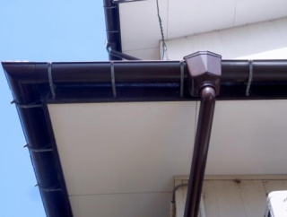 春の陽気に馴染んできた〜ヾ(=^▽^=)ノ