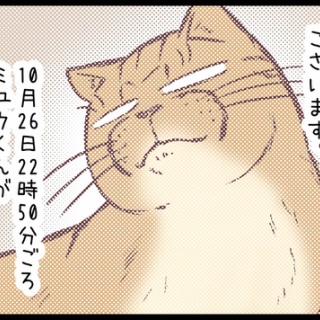 ネコ飼いの飼いネコまんが ねこボイ