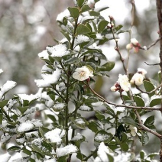 長谷川先生とちーすけのブログ