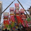 平塚七夕祭り