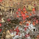 唯物論こそ神々の根源である（10）